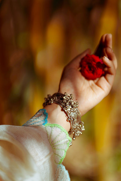 Jhinuk Chikankari Saree