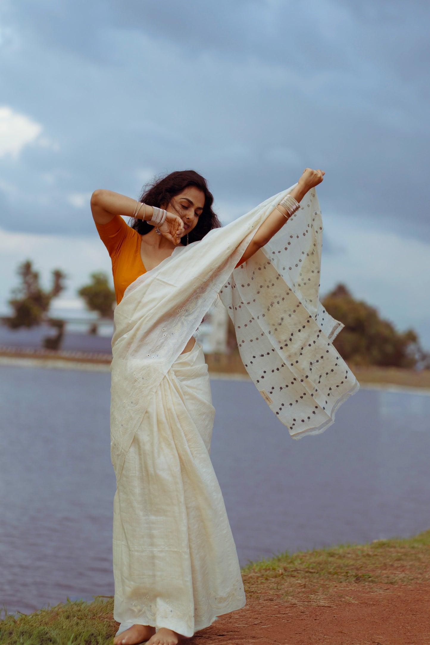 MEEN Chikankari Saree