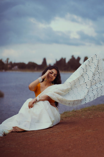 MEEN Chikankari Saree