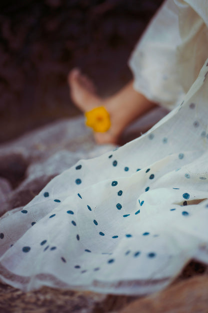 MEEN Chikankari Saree