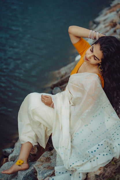 MEEN Chikankari Saree