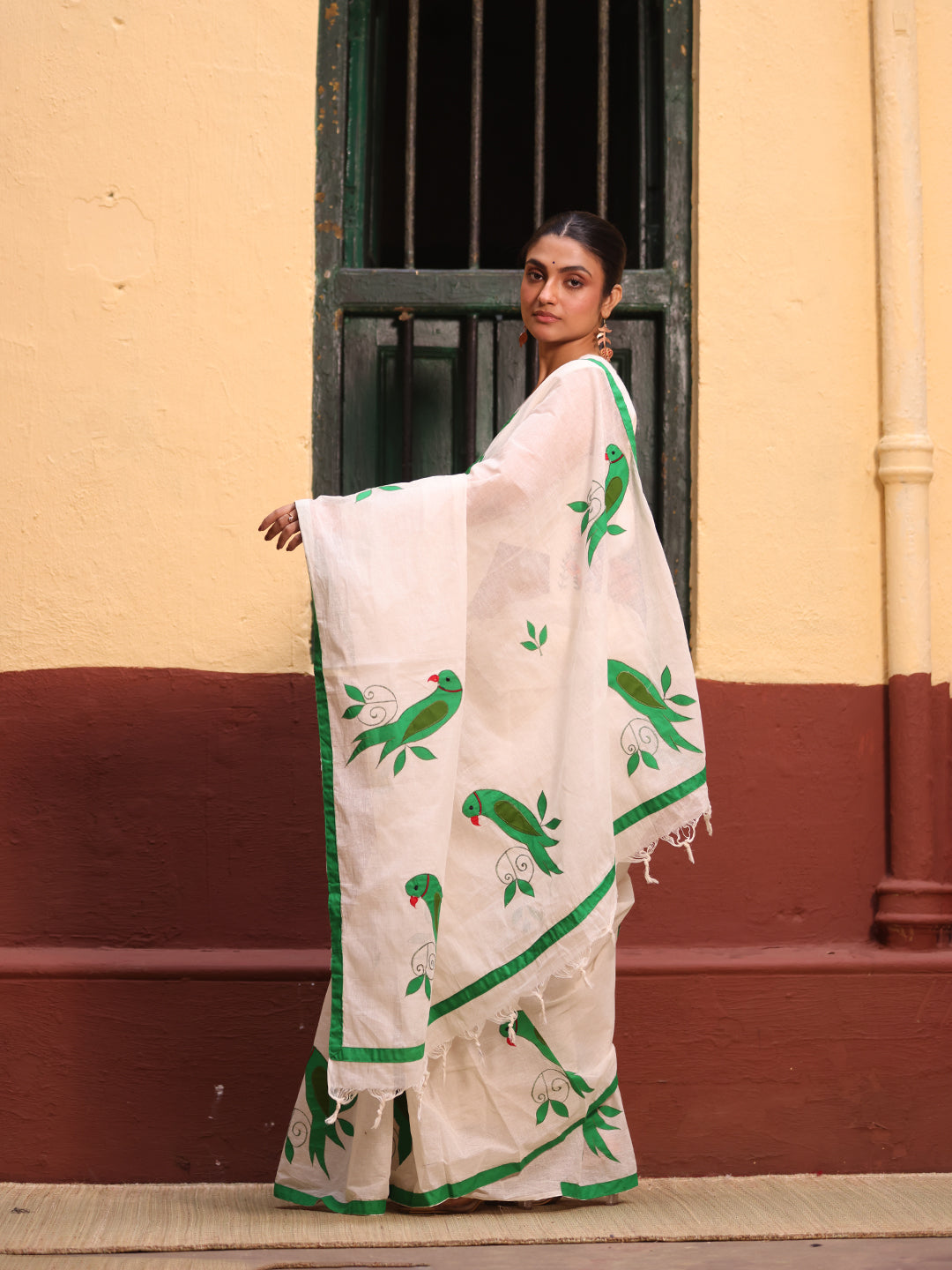 Tia Pakhi Applique Saree