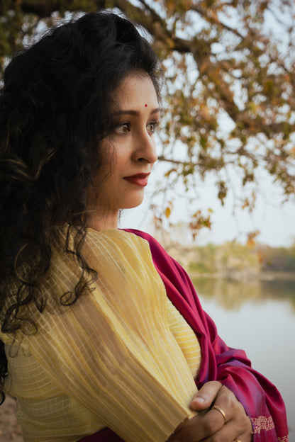 Baani SILK TUSSAR Check