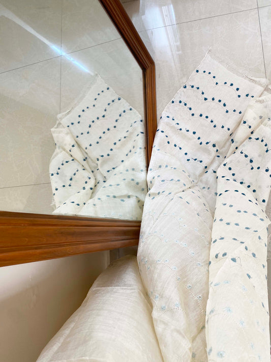 MEEN Chikankari Saree